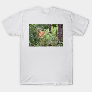 Innocence - White-tailed deer T-Shirt